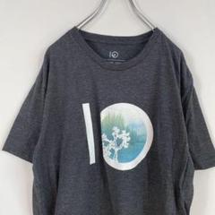 自然 湖 木 山 風景 プリントTシャツ 古着 半袖 グレー XL 3