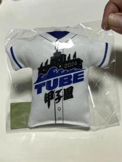 2025年最新】tube甲子園の人気アイテム - メルカリ