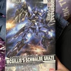 2025年最新】1/100 シュヴァルベグレイズの人気アイテム - メルカリ