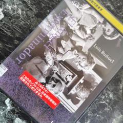 皆殺しの天使 HDマスター('62メキシコ) DVD レンタルアップ品