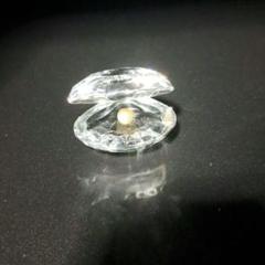 kenjiさん専用出品　スワロフスキー　パール貝(S) 1120198 m86309282290_1.jpg?1724809301