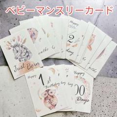 ☆ベビーマンスリーカード 16枚 誕生祝い 月齢カード 記念日 生立ちアルバム☆