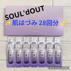 ドモホルンリンクル14日間集中導入ケア肌はづみ２セット28個 ドモホルンリンクル 14日間集中導入ケア 肌はづみ 28回分 - メルカリ