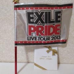 EXILE LIVE TOUR 2018-19 フラッグ 2点セット EXILE LIVE TOUR 2018-2019 “STAR OF WISH” TOUR GOODS