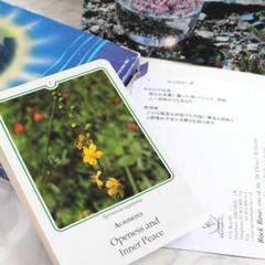 木箱入りバッチフラワーエッセンス&ポストカード バッチフラワーレメディー フラワーエッセンス 木箱 - メルカリ
