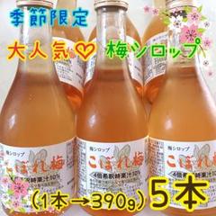 山ぶどう果汁飲料　岩手県産　「光泉山葡萄」　一升瓶　1800ml　１ケース６本 山ぶどう果汁飲料 「光泉山葡萄」 一升瓶 1800ml 岩手県産 2本