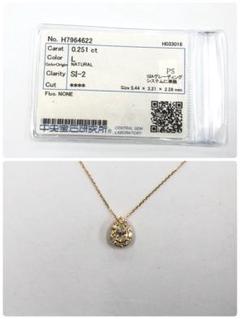 PT 0.293 G SI-2 ペアシェイプネックレス