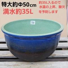 楽天市場】睡蓮鉢 水鉢 おしゃれ 陶器 ブルー斑点メダカ鉢
