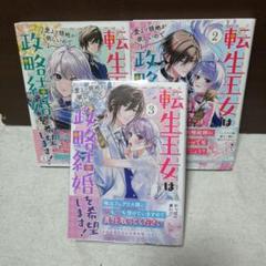 転生王女は愛より領地が欲しいので政略結婚を希望します！全③巻