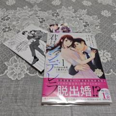 君はシンデレラ～孤高な御曹司が絶え間なく愛を注ぐ理由～【財閥御曹司シリーズ】 1 comic Berry's君はシンデレラ～孤高な御曹司が絶え間なく愛を