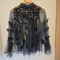 黒のレース装飾シースルーブラウス