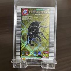 タランダスツヤクワガタ トレーディングカード 71zbsKUqZsL._UF350,350_QL50_.jpg