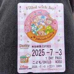 【未使用・有効期限切れ】30周年記念ディズニーリゾートライン2DAYPASS 2025年最新】ディズニーリゾートライン フリー切符 未使用の人気