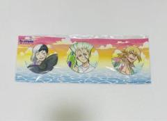 Dr.stone ドクスト　アニメイトカフェ　アニカフェ　缶バッジ ゲン 10点 TVアニメ【Dr.STONE】 | コラボ作品 | 人気アニメ・ゲーム作品の