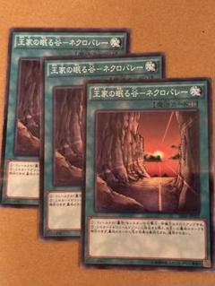 PSA10 極美品最安値世界15枚王家の眠る谷 ネクロバレーパラレル