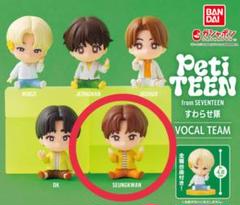 SEVENTEEN セブチ すわらせ隊 PetiTEEN スングァン - メルカリ