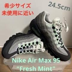 Nike Air Max 95 "Fresh Mint"