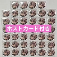 ビーズログ B's-LOG 悪魔執事と黒い猫 あくねこ 缶バッジ ベリアン 40 ビーズログ B's-LOG 悪魔執事と黒い猫 あくねこ 缶バッジ