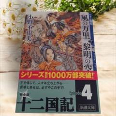2025年最新】十二国記の人気アイテム - メルカリ