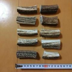 M1アクセサリー【まとめて10本】北海道　エゾシカ　鹿角　鹿の角　素材　ハンド