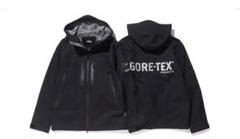 STUSSY ステューシー GORE-TEX ゴアテックス プリント ナイロン