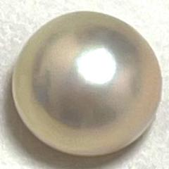 天然マベパールルース 楽天市場】マベ ルースの通販