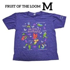 FRUIT OF THE LOOM 【M】 蝶のライフサイクル 半袖 派手 紫