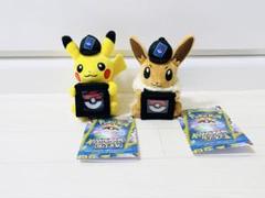 ポケモンカードゲーム マスコットコインホルダー ピカチュウ イーブイ ポケモン