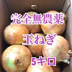 玉ねぎ 無農薬 5キロ 愛媛県産