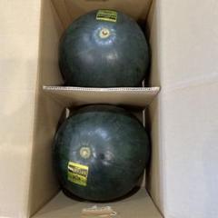 0404茨城県産大玉スイカゴールデンジャック秀品4Lサイズ1箱2玉