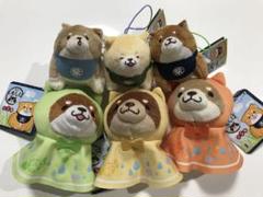 忠犬もちしば　ぬいぐるみ　てるてるマスコット　スクっとオールスタープチ