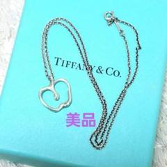 美品 ティファニー ネックレス スターリングシルバー ペレッティ アップル