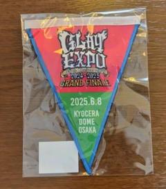 GLAYガーランド東京ドーム5/31,6/1京セラ6/8コンプリート GLAY ガーランド 東京ドーム 京セラドーム大阪 - メルカリ