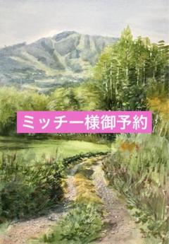 732＊夏の菅平高原　水彩画　原画　透明水彩画 732＊夏の菅平高原 水彩画 原画 透明水彩画 - メルカリ