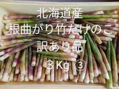 2025年最新】姫竹 北海道の人気アイテム - メルカリ