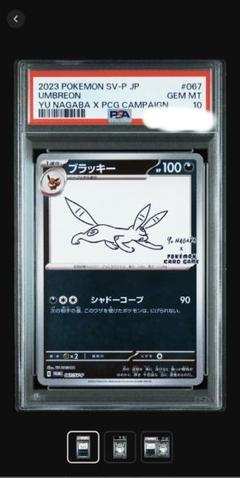 引退品 12枚セット nagaba ブラッキーなど 2025年最新】yunagaba ポケモン ブラッキーの人気アイテム