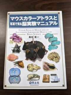 ●裁断済みです● マウスカラーアトラスと写真で見る脳実験マニュアル マウスカラーアトラスと写真で見る脳実験マニュアル | 黒川 衛