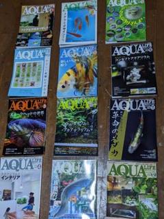 月刊アクアライフ　2022セット売 月刊アクアライフ 2022年 04 月号 オトシンクルス&コリドラス
