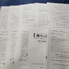 2024 駿台 青パック 共通テスト 実戦パッケージ問題 駿台文庫
