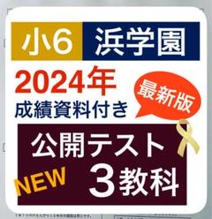 浜学園小6 灘中合格特訓 算数フルセット
