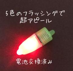 数量限定 タコ釣り 赤青緑紫黄フラッシングLED 2個セット