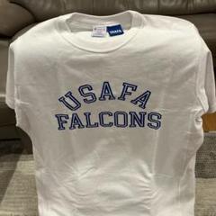 2025年最新】チャンピオン usafa リバースウィーブの人気