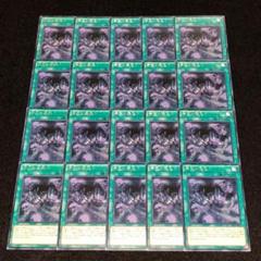 No.8042 遊戯王 帝王の深怨