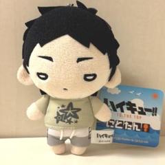 木兎　赤葦　にとたん おおきいぬいぐるみ　2つセット にとたん ハイキュー!! おおきいぬいぐるみ/赤葦｜商品情報