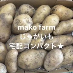野菜詰め合わせセット⑳ じゃがいも　宅配コンパクト★のサムネイル