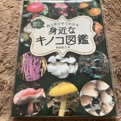 T-51 レトロ古いきのこ図鑑本洋書ディスプレイアンティーク