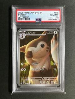 初公開】新登場のオタチとオオタチを紹介！かわいすぎるAR