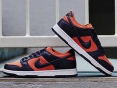 NIKE DUNK LOW SP Champ Colors 27.0センチ