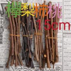 小動物かじり木 梨 柿 桃 欅の木40本!