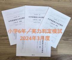 能開センター2024年度 小学6年実力判定模試 中学受験 解答&解説